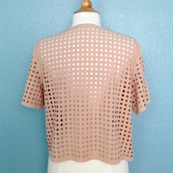 Lucy Paris Blush Laser Cut Blouse - Picture 3 of 3